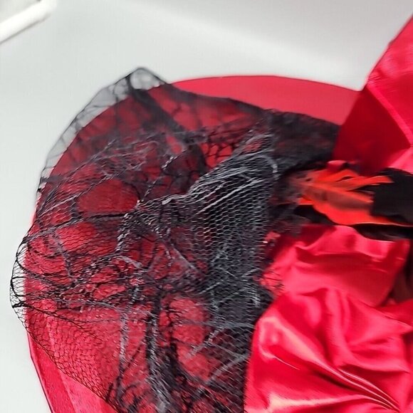 Red And Black Witch Wide Brim Hat with Feathers & Veil Cap - One Size Costume - Picture 3 of 5